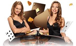 poker777 Bingo – panduan cara bermain bingo online langkah demi langkah untuk pemain pemula Indonesia